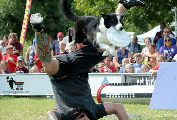 090121 NSF JUMP dog show JRS 3.jpg